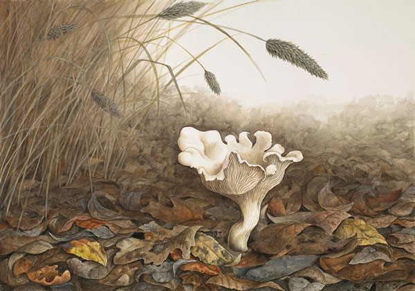 Overnight, Very Quietly